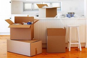 Tanrken Eyalar Nasl Toplanmal ve Paketlenmeli?